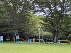 前橋総合運動公園の広場Aの遊具
