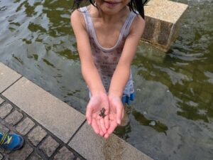 前橋総合運動公園のカスケードでの水遊び