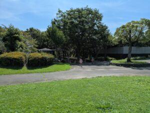 三ツ寺公園の噴水広場からちびっこ広場へ