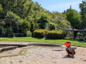 三ツ寺公園噴水広場の日向で温まる子供