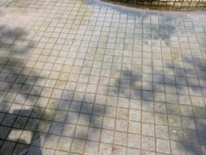三ツ寺公園噴水広場の水のきれいさ