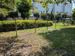 三ツ寺公園のちびっこ広場の遊具