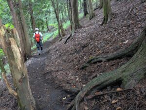 掃部ヶ岳の登山道
