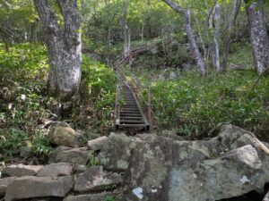 駒ヶ岳登山道