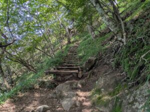 駒ヶ岳登山道