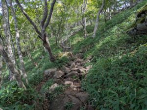 駒ヶ岳登山道