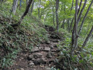 駒ヶ岳登山道