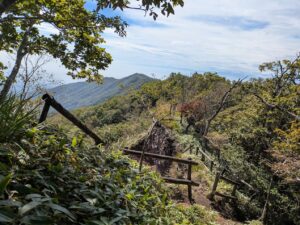 駒ヶ岳登山道