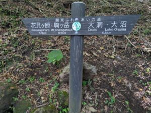 駒ヶ岳登山道