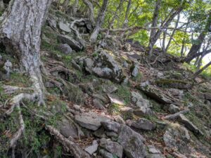 駒ヶ岳登山道