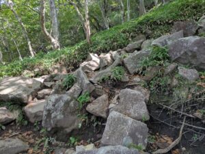 駒ヶ岳登山道