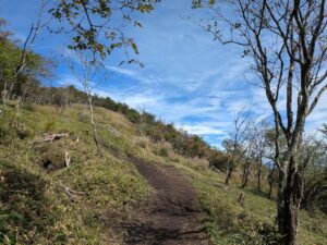 駒ヶ岳登山道