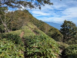 駒ヶ岳登山道